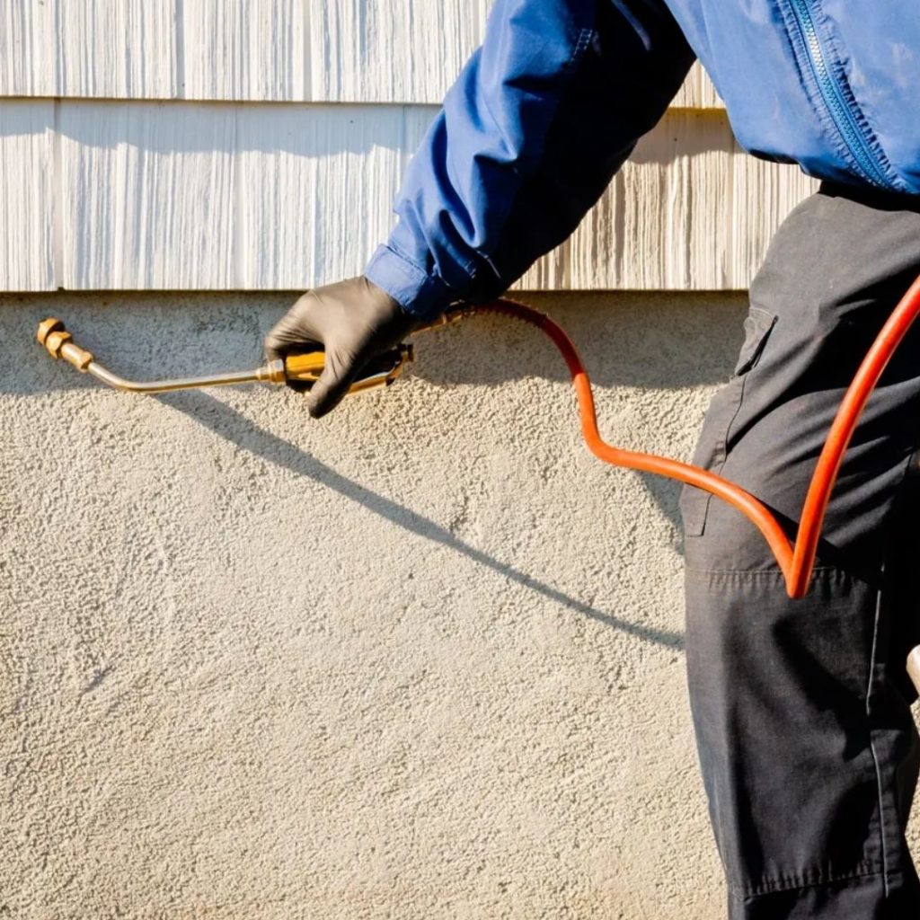 479946361_1226567272803909_1329140515414386529_n